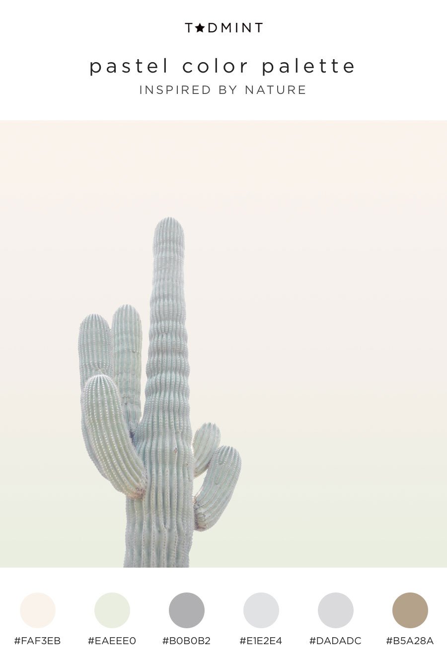 pastel colors inspired by a cactus