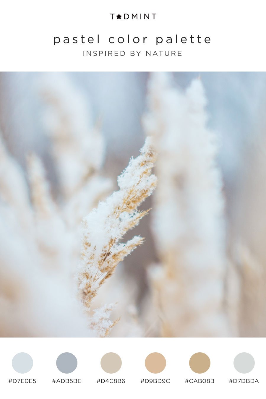 pastel colors inspired by pampas grass