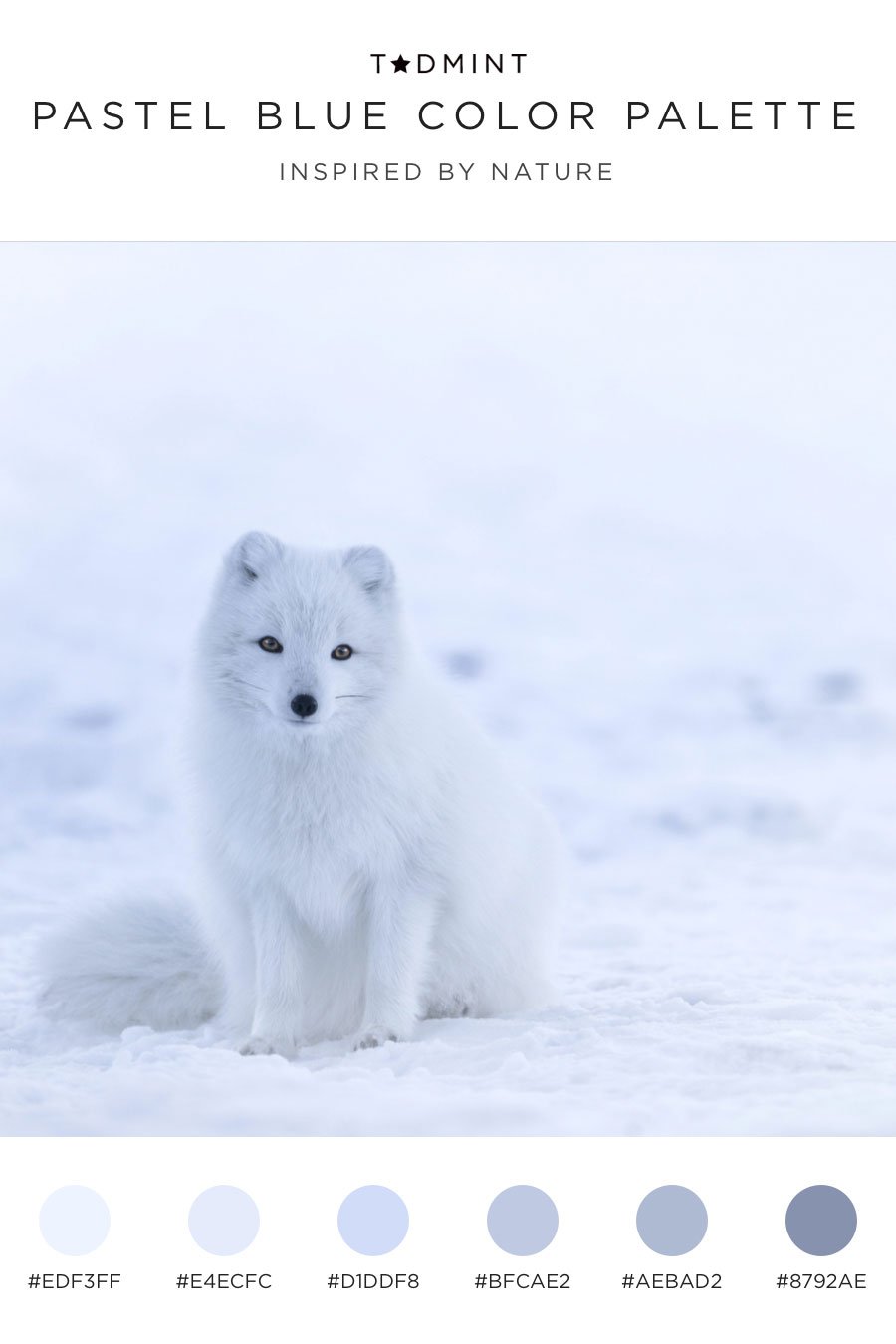 pastel blue color palette inspired by an arctic fox
