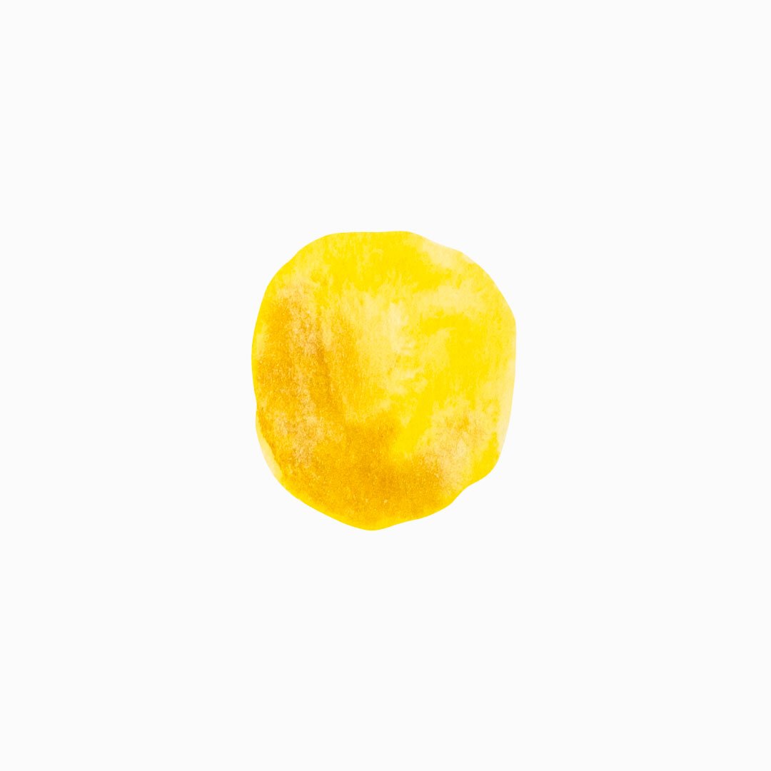 watercolor vector texture