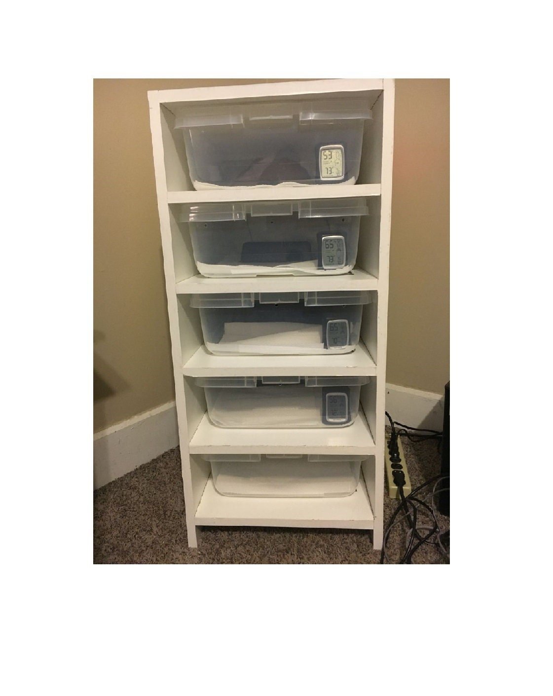 28qt Reptile Snake Rack | Stumps Custom Wood