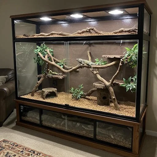 The Benefits of 6-Foot Reptile Enclosures Over Smaller Sizes