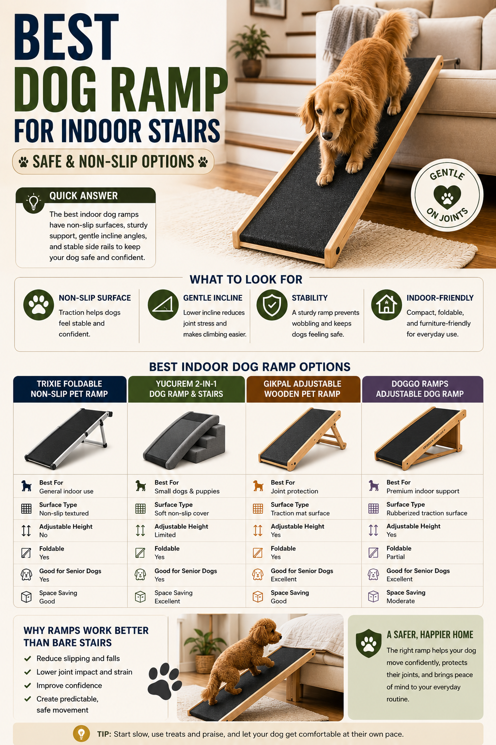 Best Dog Ramp for Indoor Stairs (Safe &amp; Non-Slip Options)
