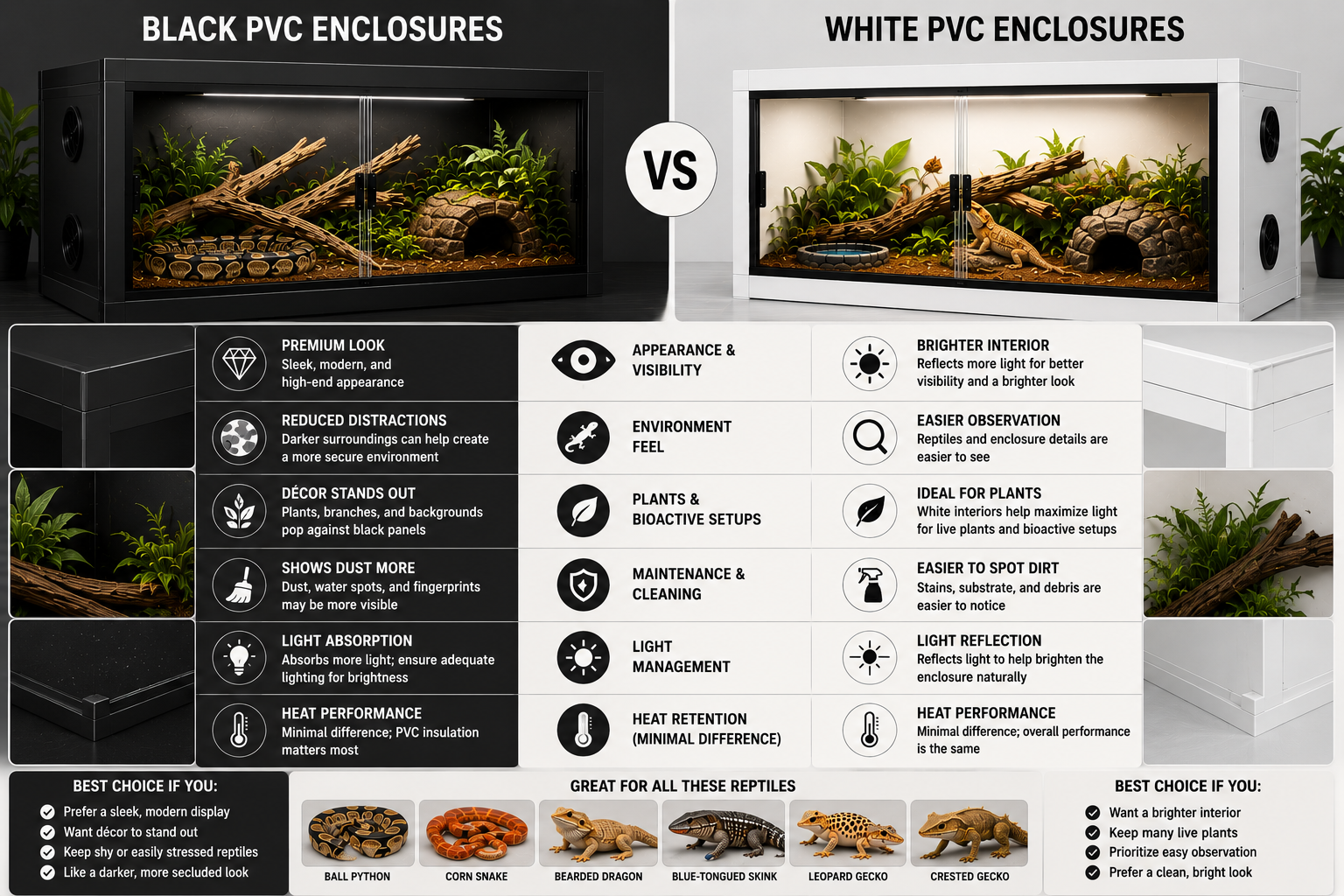 Black PVC vs White PVC Reptile Enclosures: Which Should You Choose?
