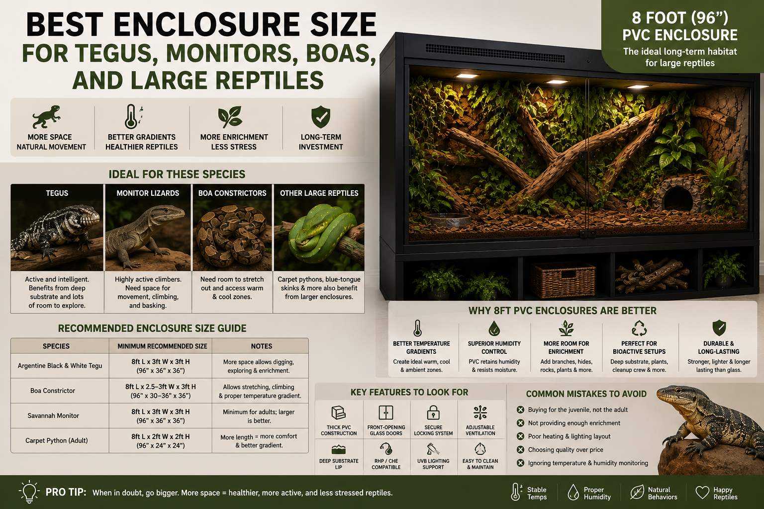 Best Enclosure Size for Tegus, Monitors, Boas, and Large Reptiles