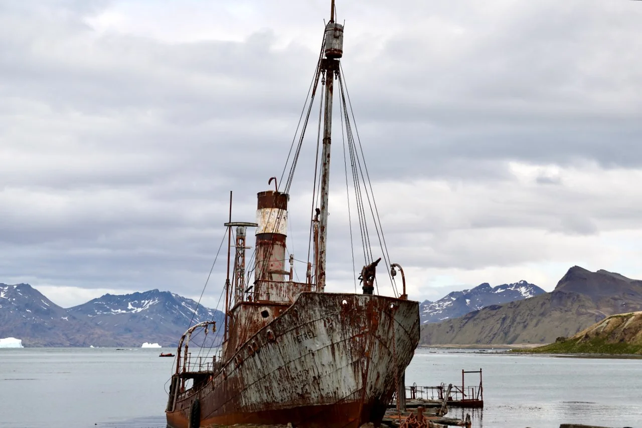 Grytviken South Georgia - 16.jpeg