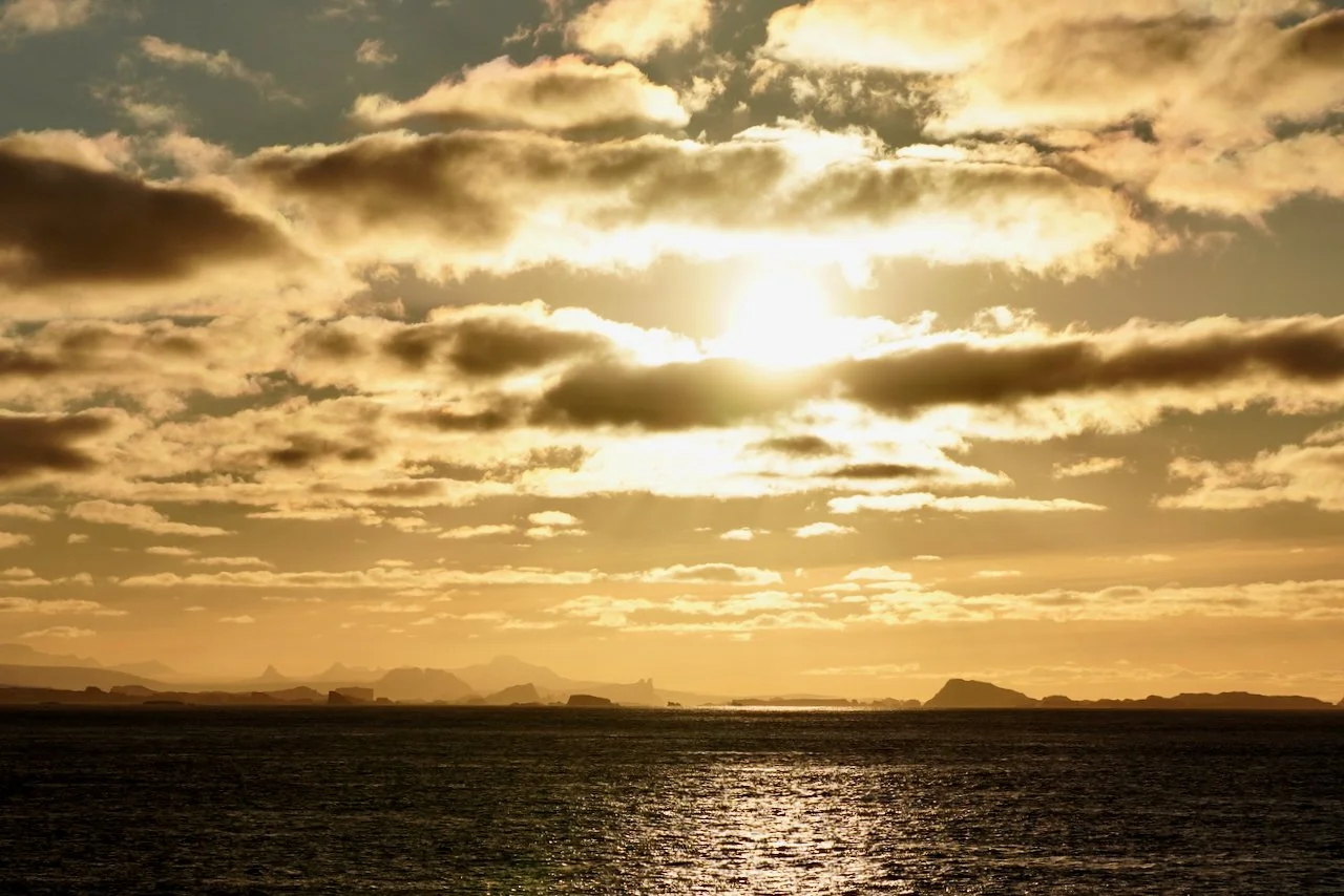 Elephant Island Sea Ice Humpback + Fin Whales - 173.jpeg
