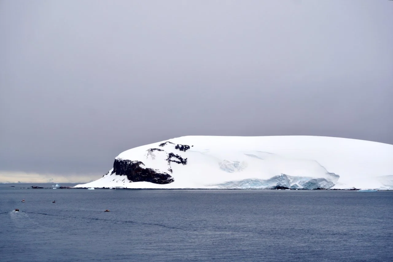 DHainaut Island Mikkelson Harbour - 11.jpeg
