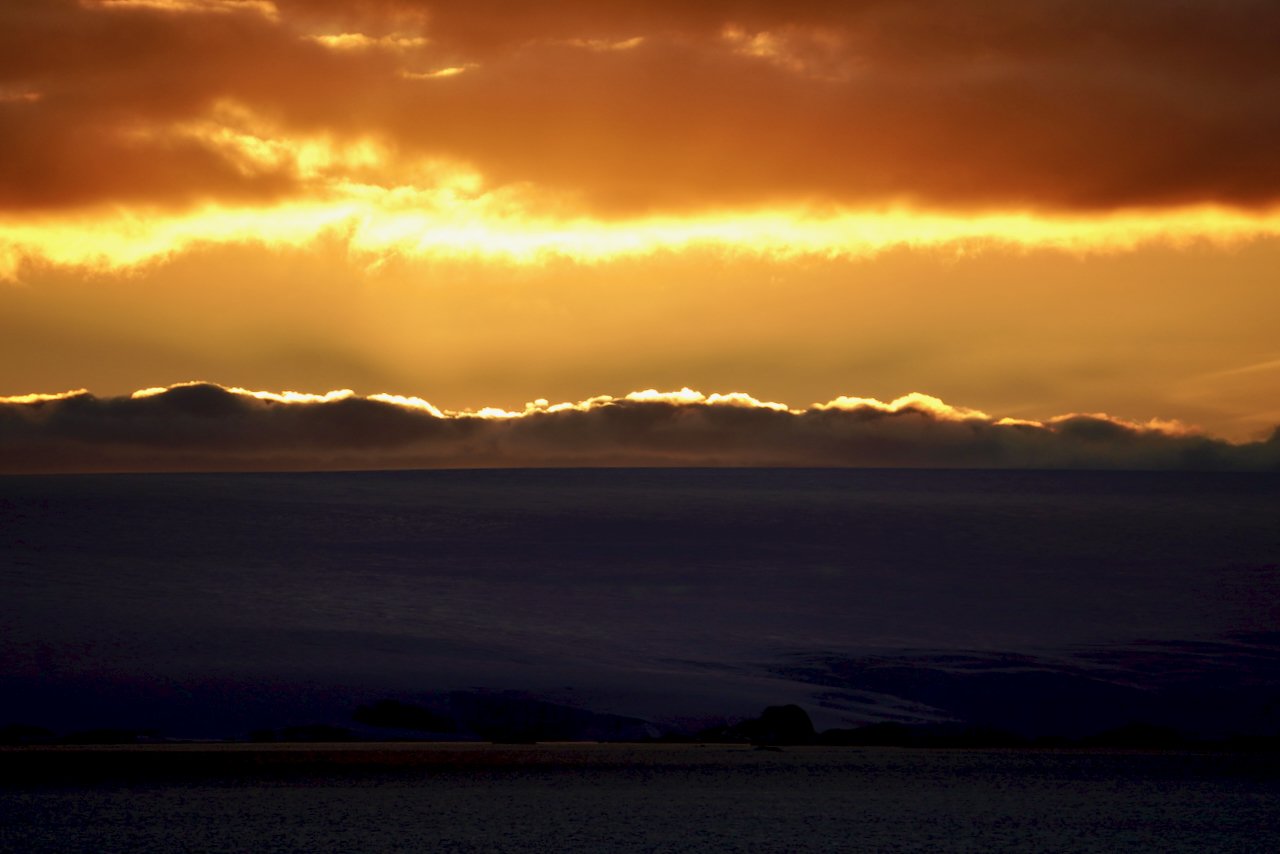 Elephant Island Sea Ice Humpback + Fin Whales - 183.jpeg