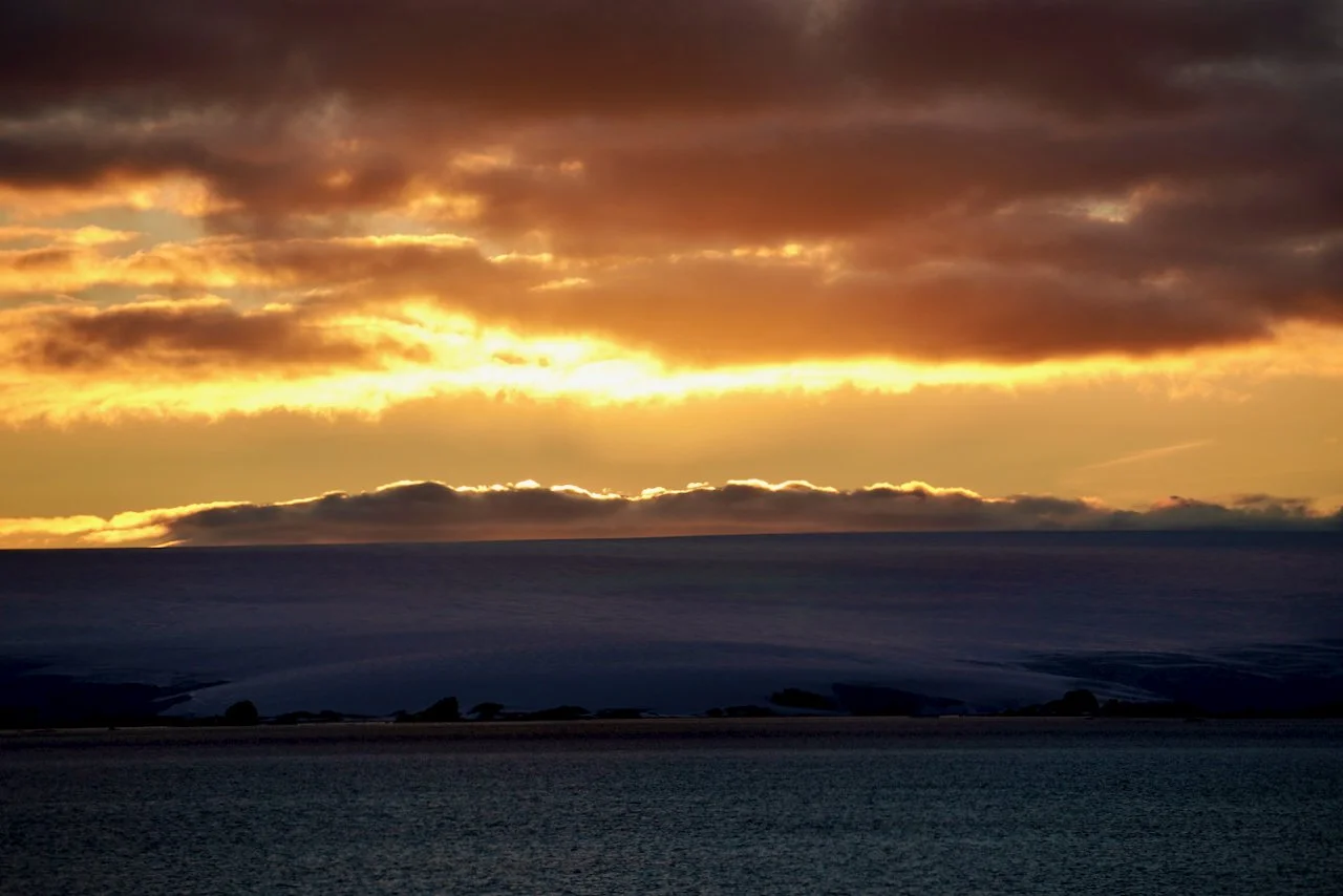 Elephant Island Sea Ice Humpback + Fin Whales - 184.jpeg