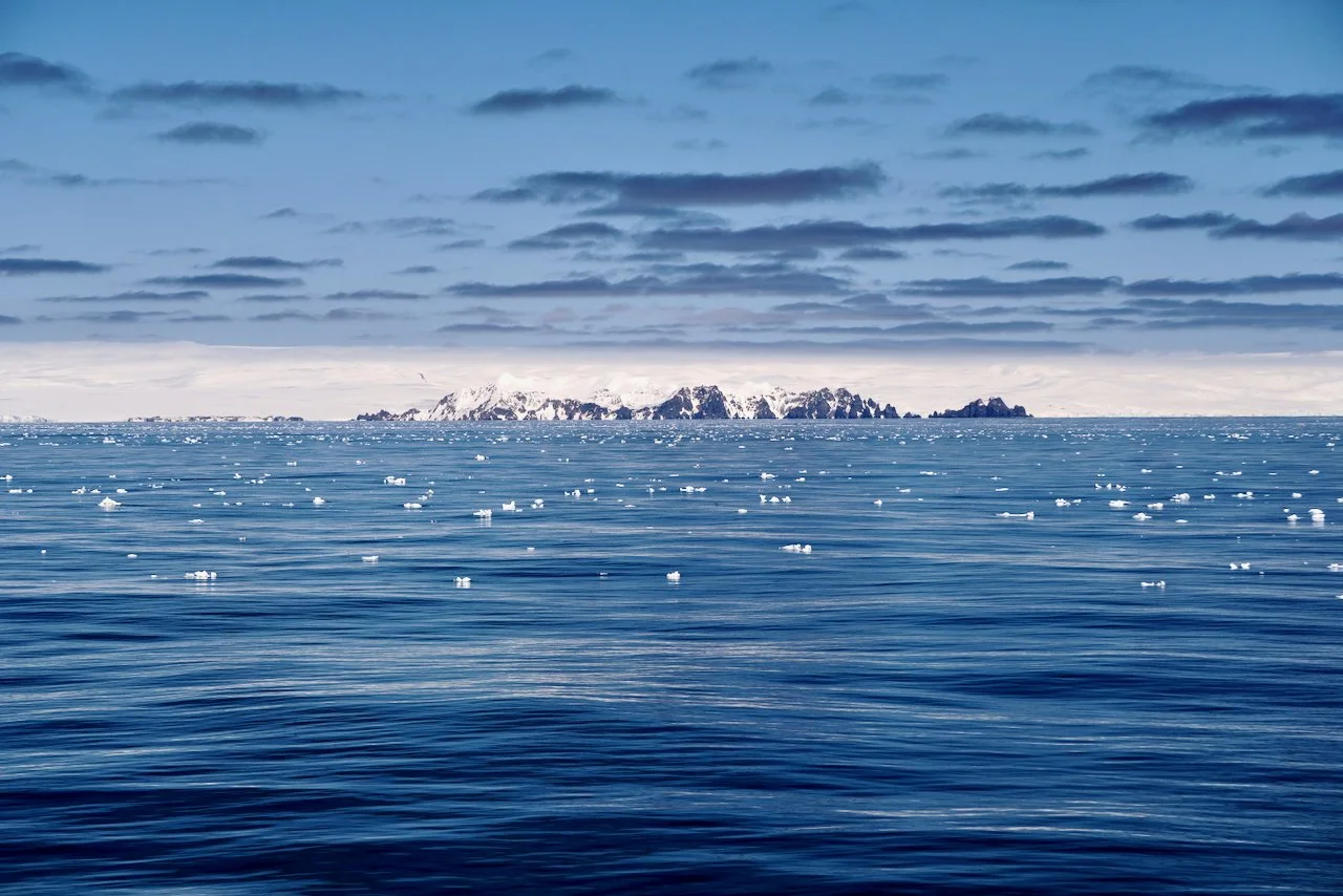 Elephant Island Sea Ice Humpback + Fin Whales - 48.jpeg