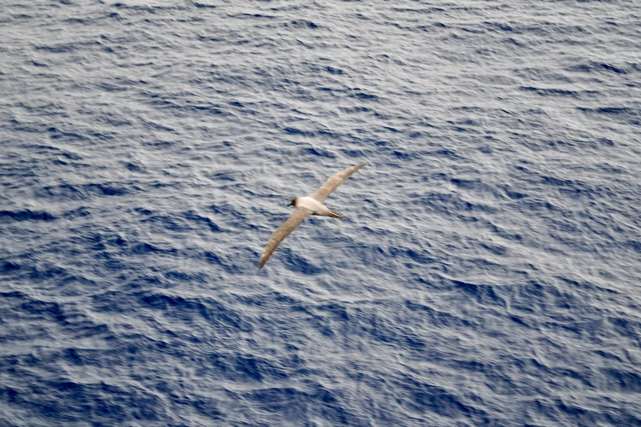 Brown Station Paradise Harbour - 77.jpeg