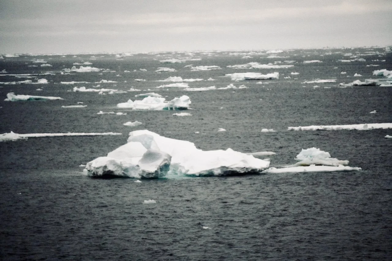 Elephant Island Sea Ice Humpback + Fin Whales - 21.jpeg