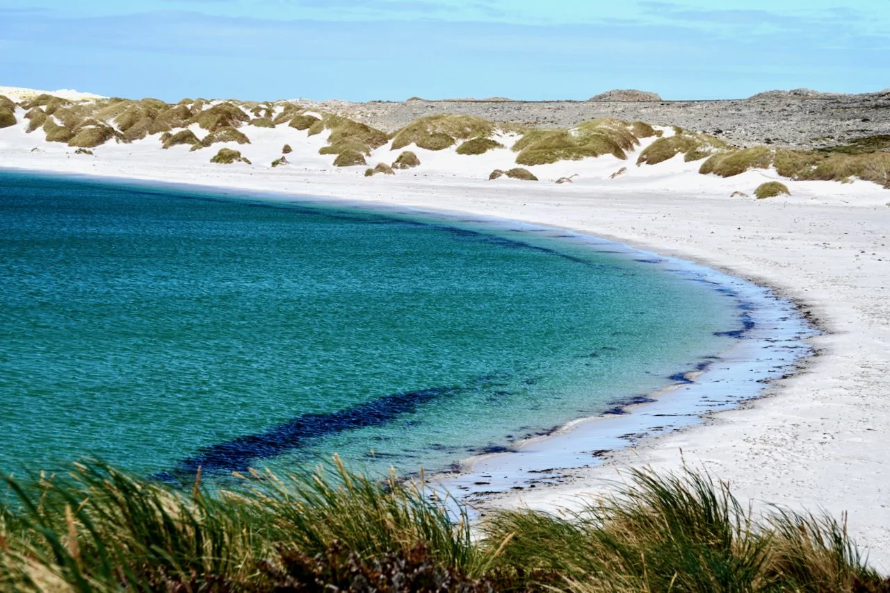 Falklands - 194.jpeg