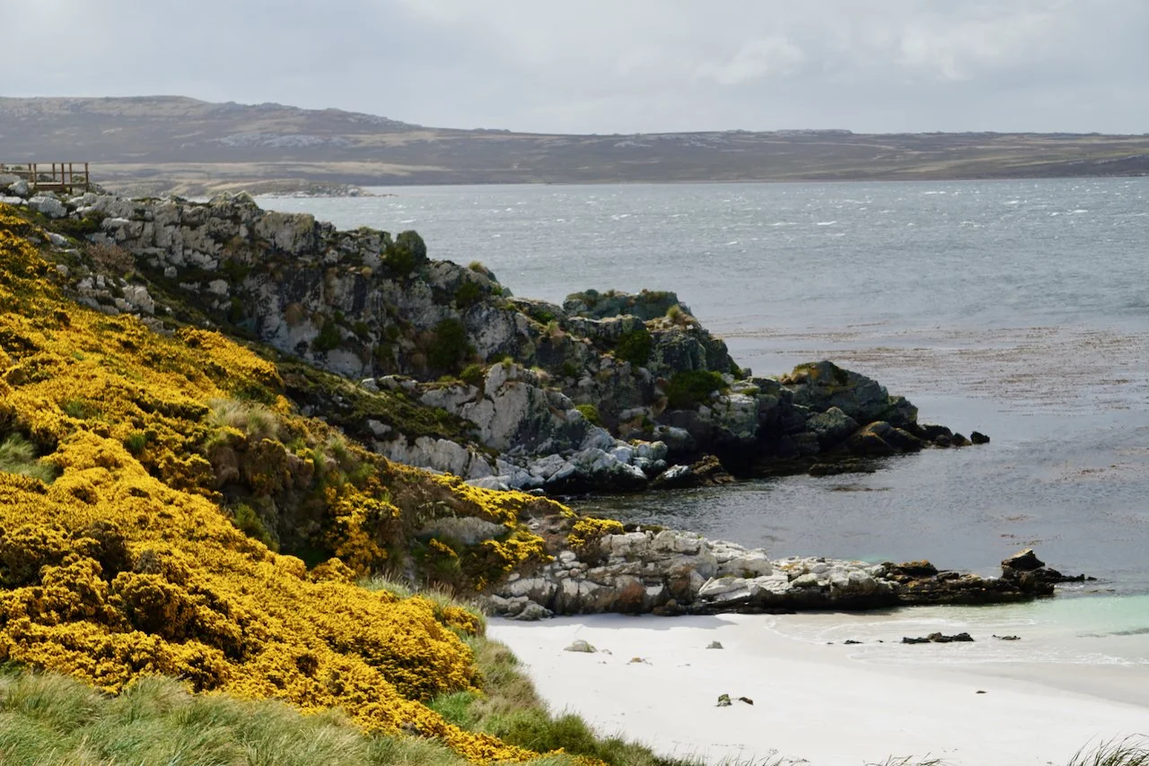 Falklands - 196.jpeg