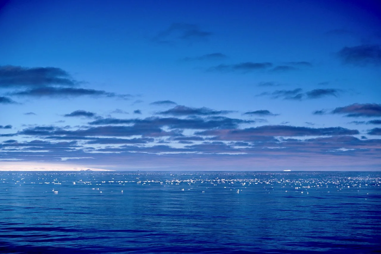 Elephant Island Sea Ice Humpback + Fin Whales - 42.jpeg