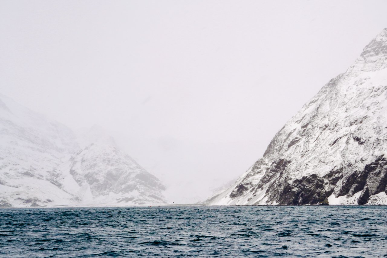 Fortuna Bay South Georgia - 14.jpeg