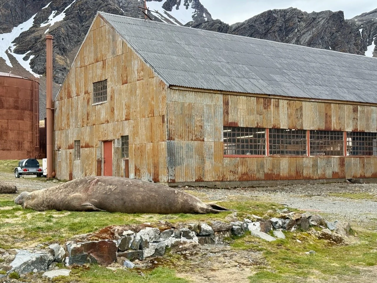 BT GRYTVIKEN - 4.jpeg