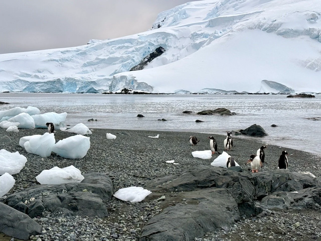 D’Hainaut Island - BT - 5.jpeg