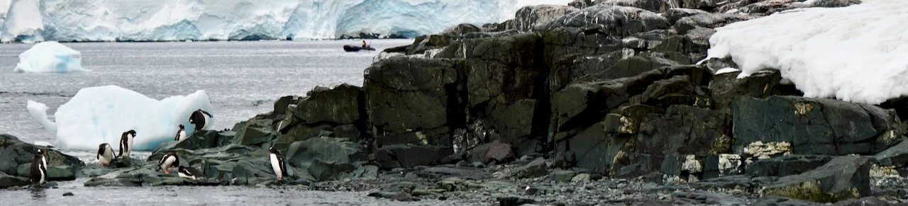 DHainaut Island Mikkelson Harbour - 81.jpeg