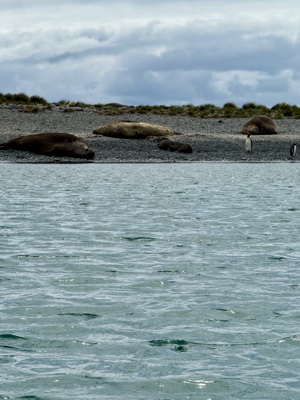 Royal Bay Kayaking iPhone - 31.jpeg