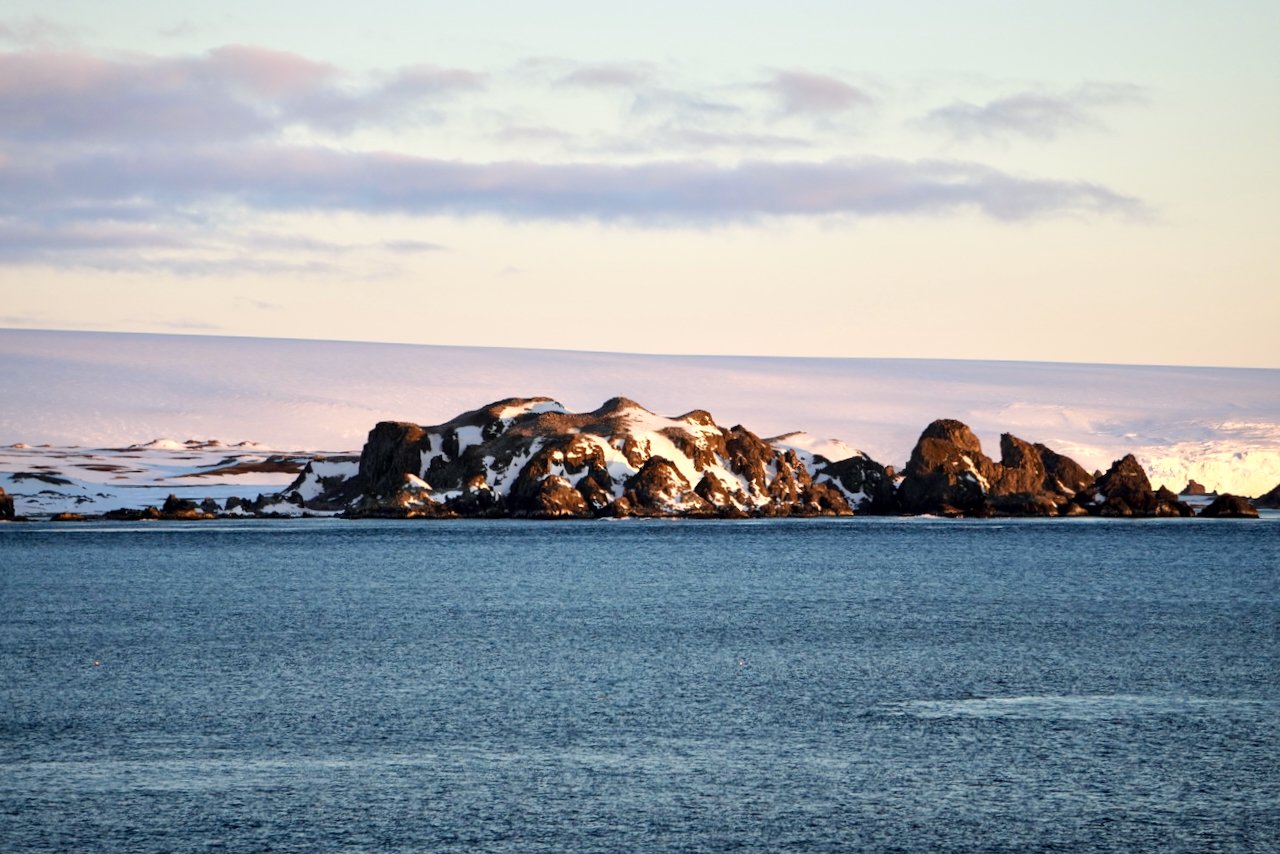 Elephant Island Sea Ice Humpback + Fin Whales - 181.jpeg