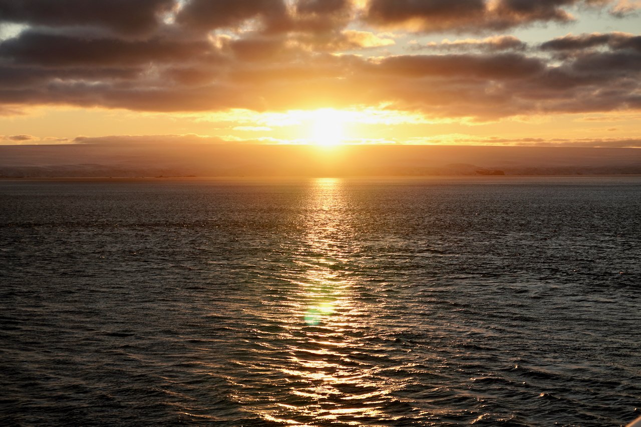Elephant Island Sea Ice Humpback + Fin Whales - 178.jpeg