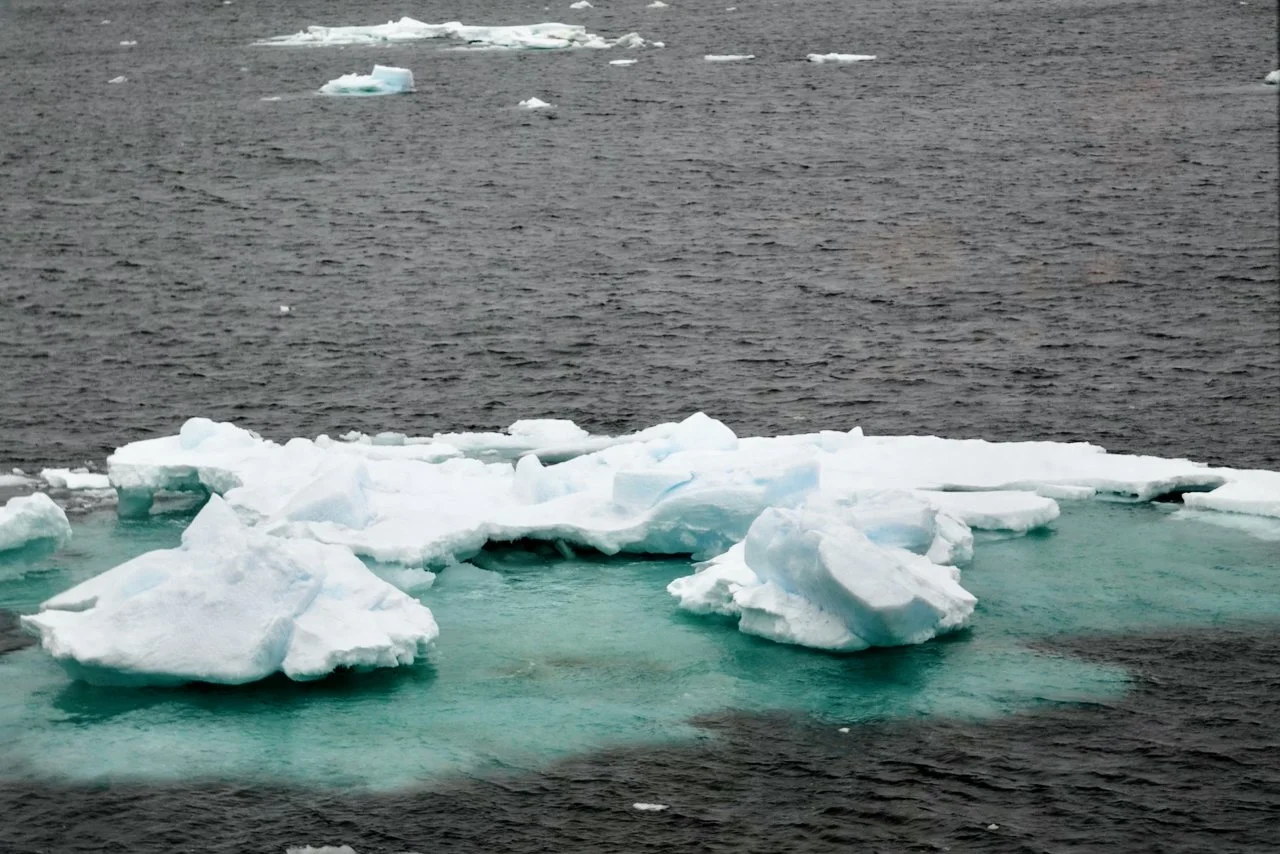 Elephant Island Sea Ice Humpback + Fin Whales - 19.jpeg