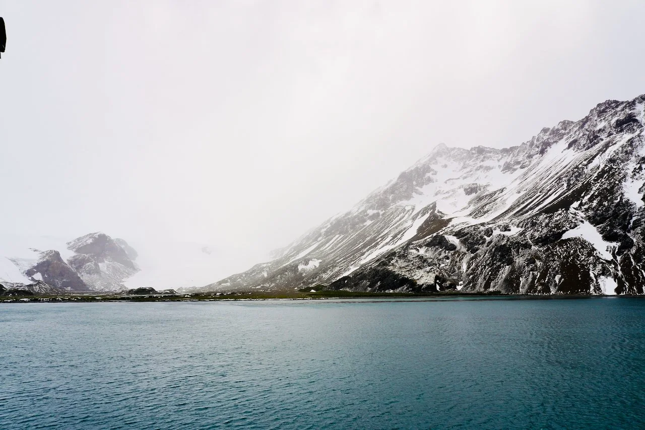 Fortuna Bay South Georgia - 31.jpeg