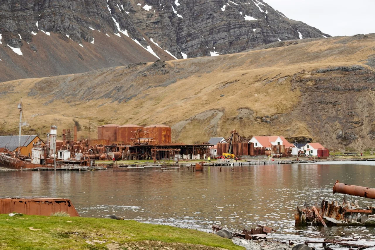Grytviken South Georgia - 53.jpeg