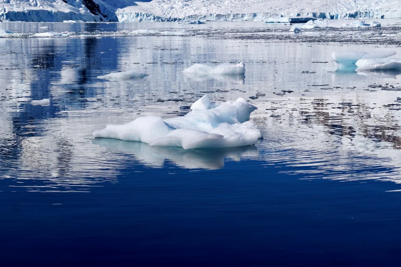 Brown Station Paradise Harbour - 13.jpeg