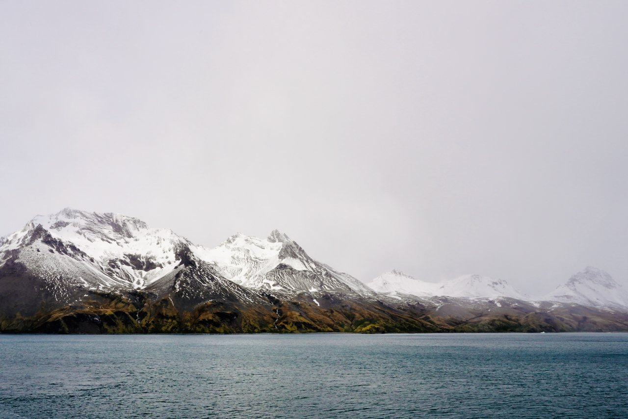 Fortuna Bay South Georgia - 28.jpeg