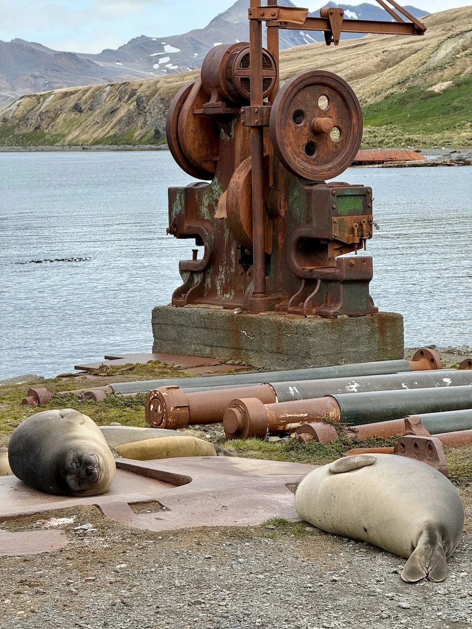 BT GRYTVIKEN - 2.jpeg