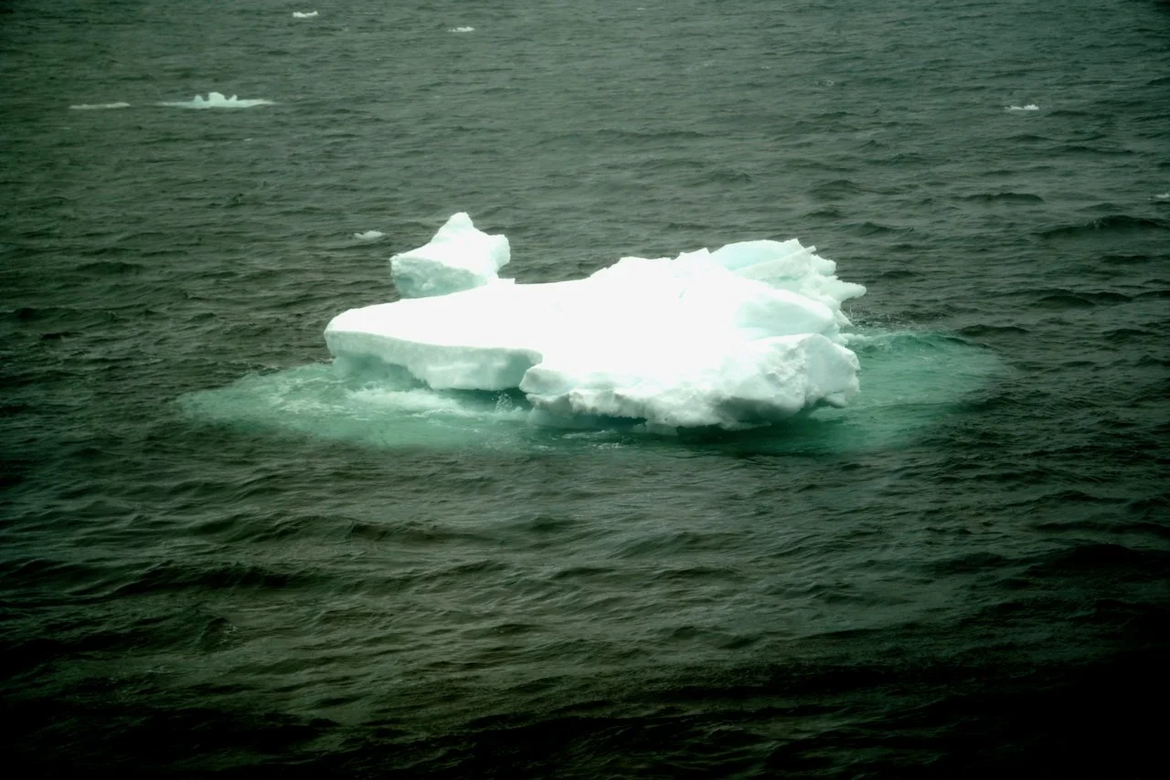 Some of the sea ice photos aren't great because the deck was closed due to weather. 