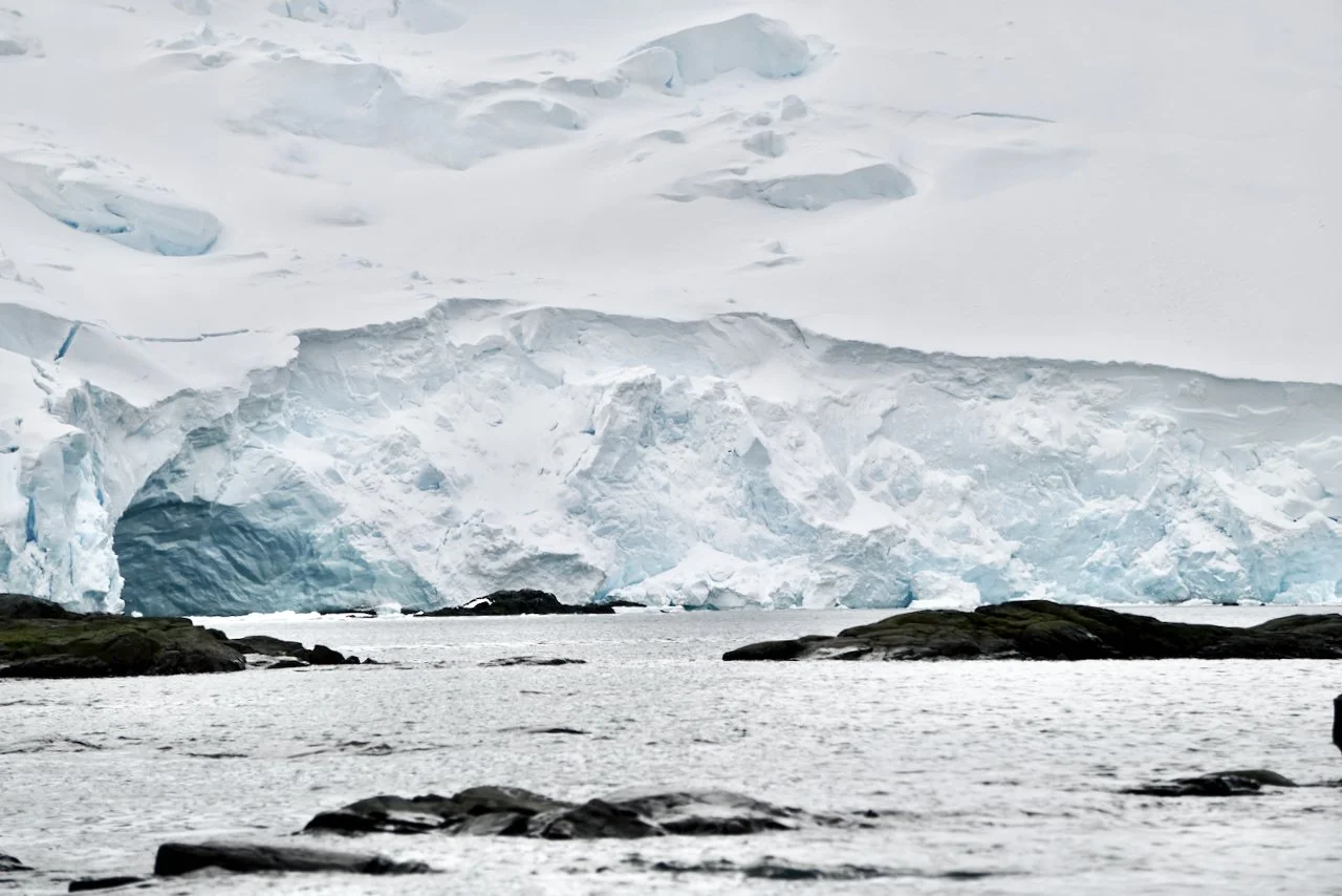 DHainaut Island Mikkelson Harbour - 116.jpeg