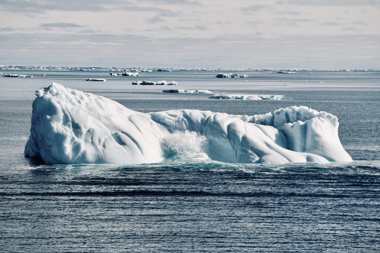 Elephant Island Sea Ice Humpback + Fin Whales - 26.jpeg