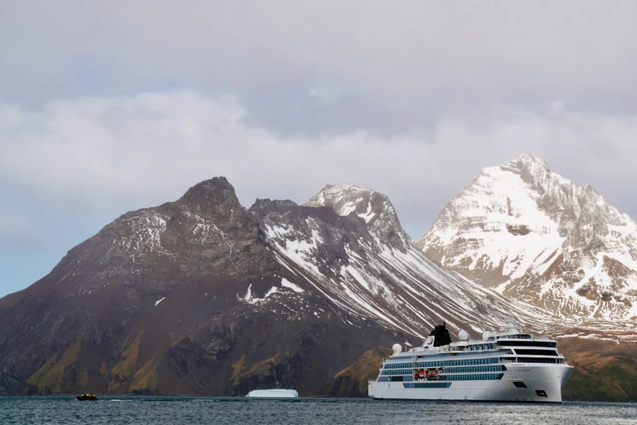 Fortuna Bay South Georgia - 32.jpeg