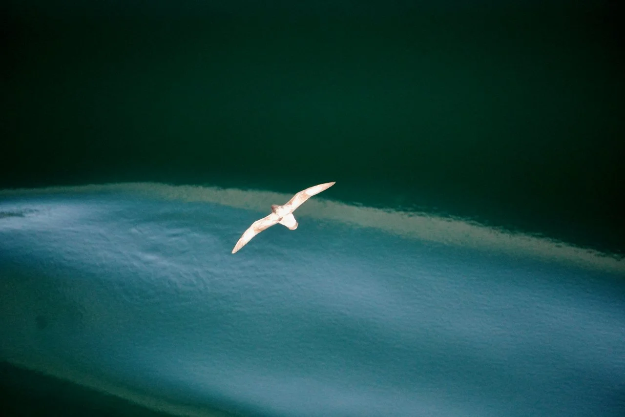 Photo cred: not us! This is one of the photos the crew shared with us via the Viking app