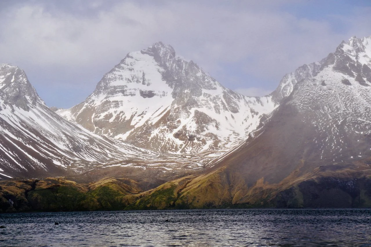 Fortuna Bay South Georgia - 40.jpeg