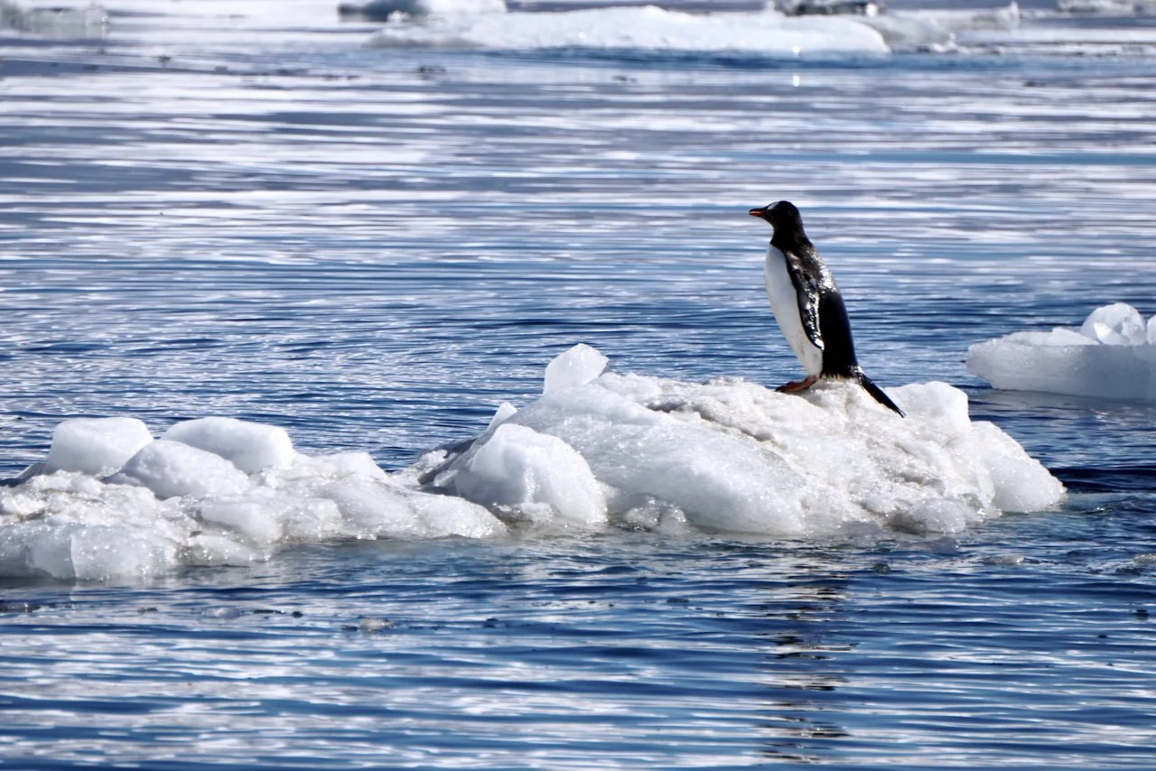 Brown Station Paradise Harbour - 9.jpeg