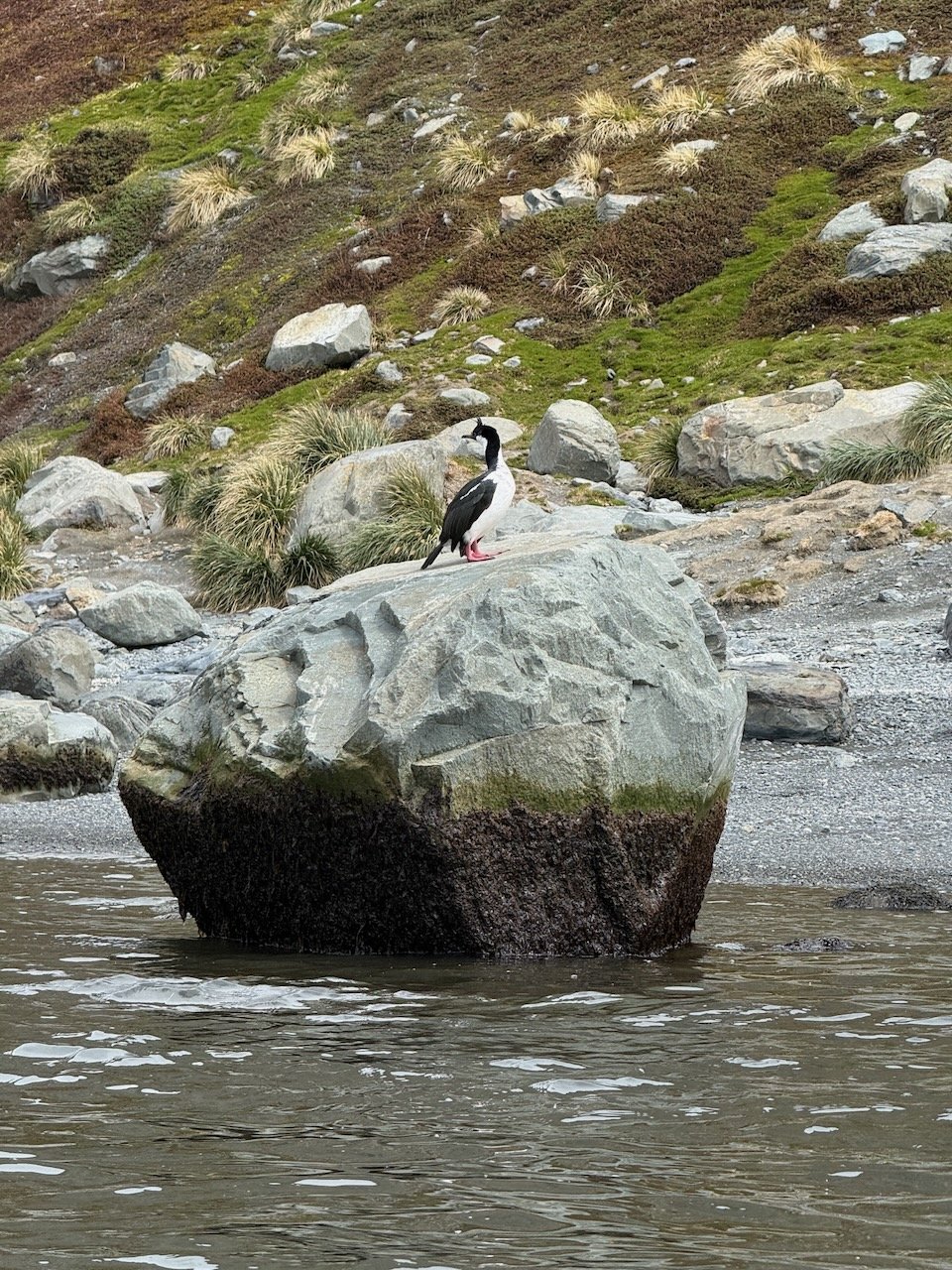 Royal Bay Kayaking iPhone - 49.jpeg