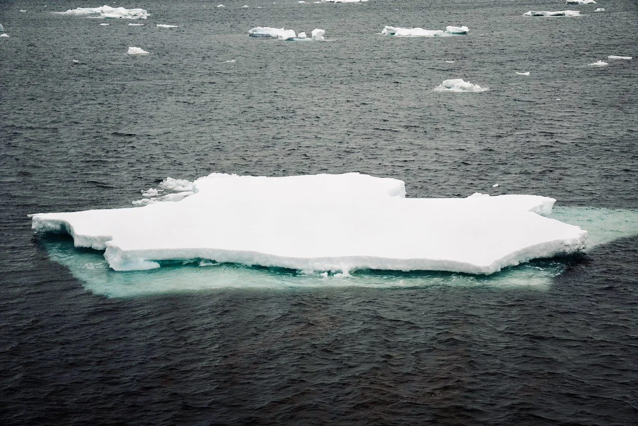 Elephant Island Sea Ice Humpback + Fin Whales - 20.jpeg