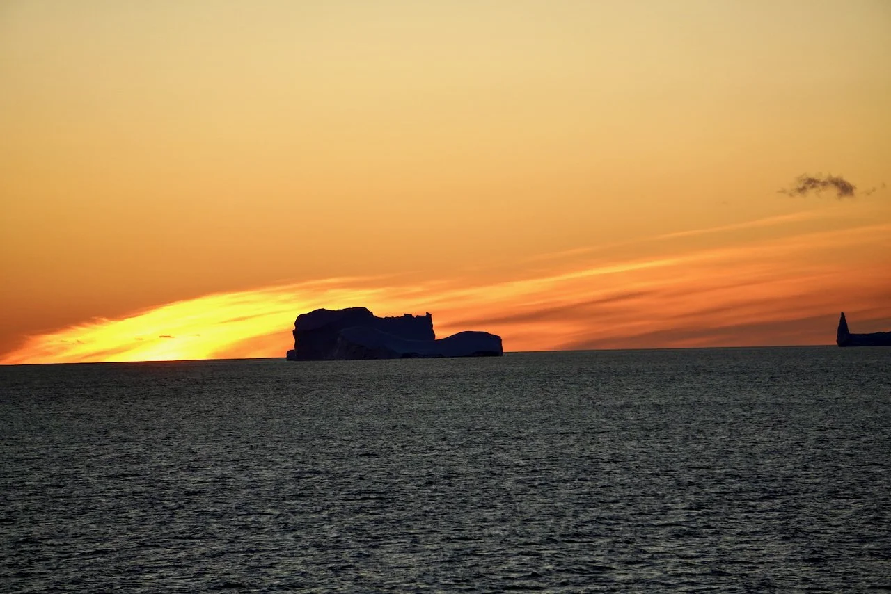 Elephant Island Sea Ice Humpback + Fin Whales - 197.jpeg