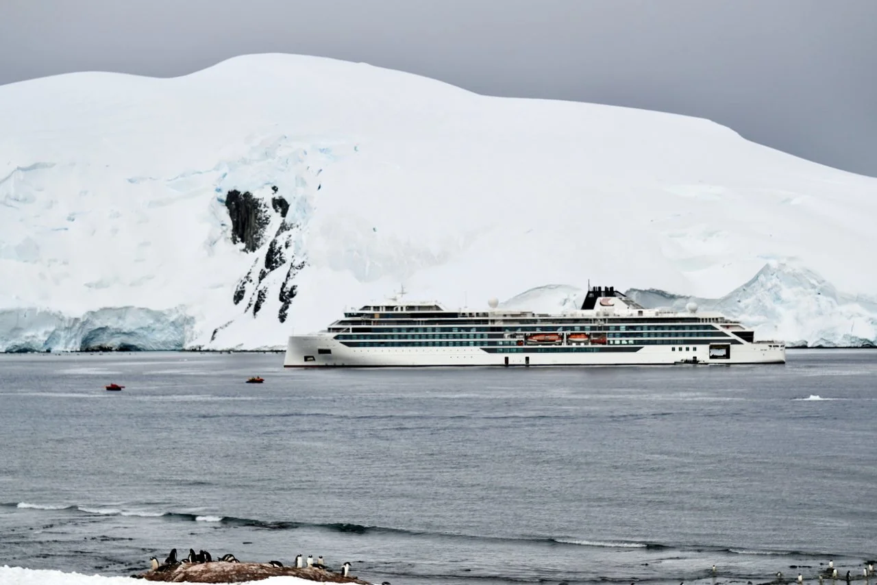 DHainaut Island Mikkelson Harbour - 48.jpeg