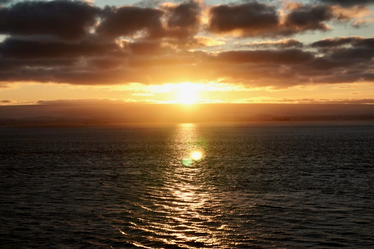 Elephant Island Sea Ice Humpback + Fin Whales - 177.jpeg
