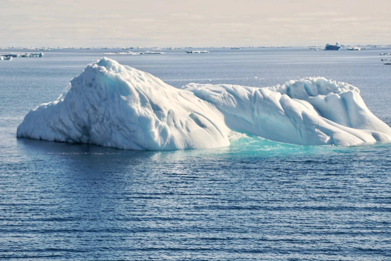 Elephant Island Sea Ice Humpback + Fin Whales - 27.jpeg