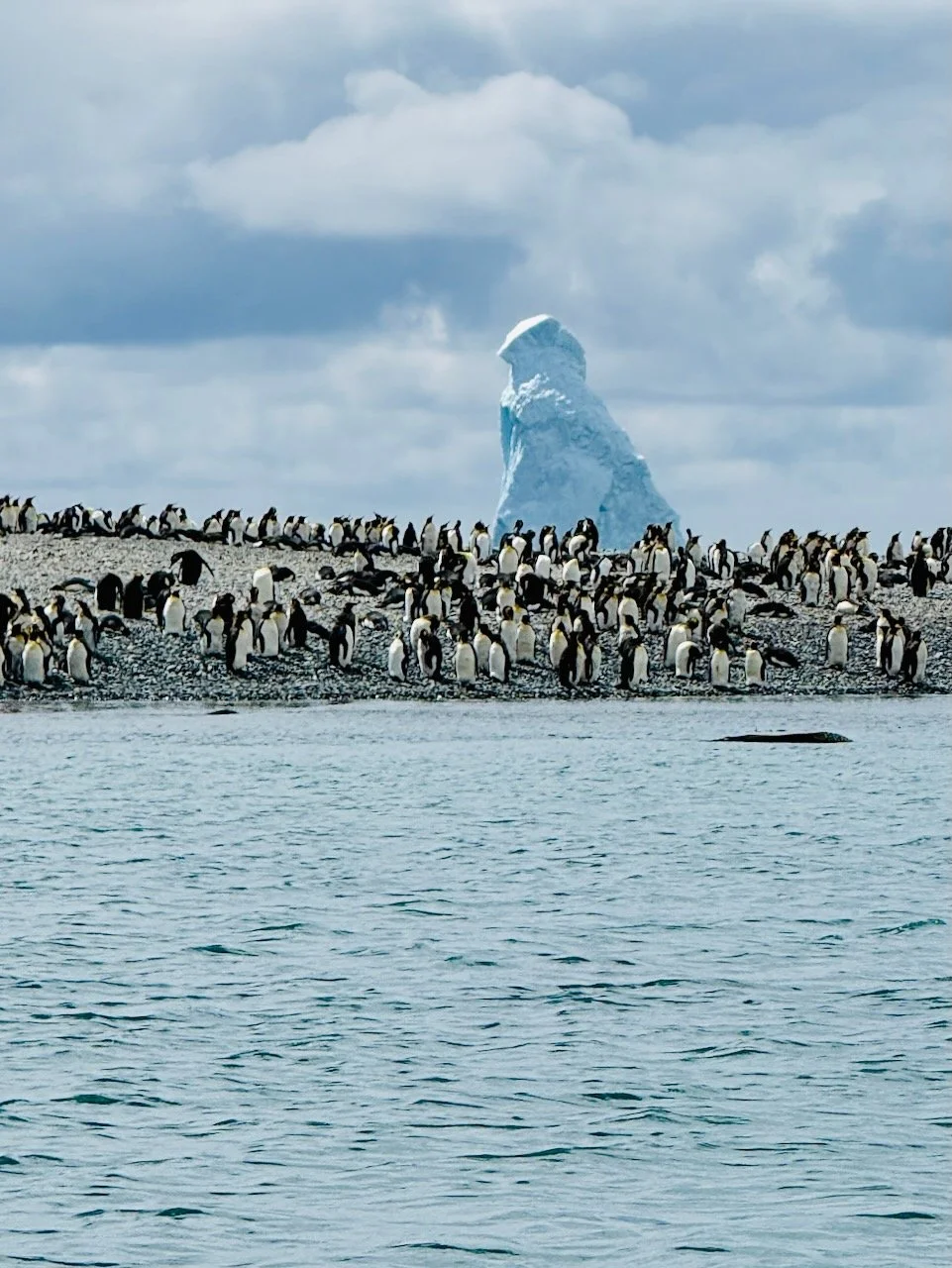 Royal Bay Kayaking iPhone - 5.jpeg