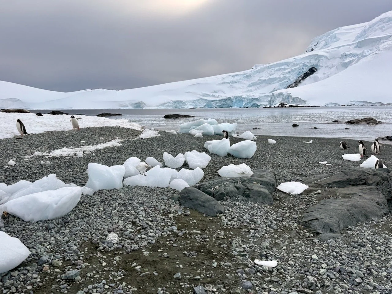 D’Hainaut Island - BT - 4.jpeg