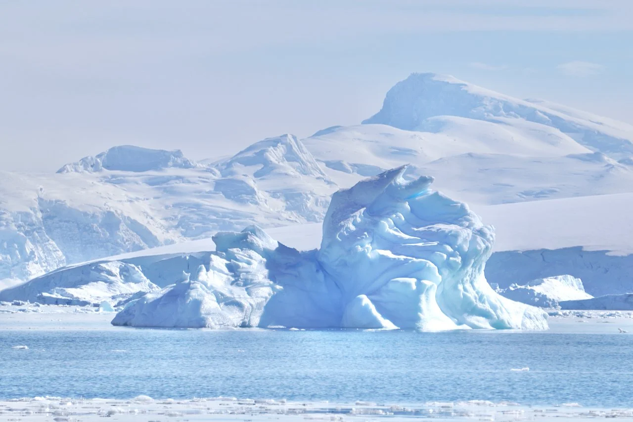 Brown Station Paradise Harbour - 4.jpeg