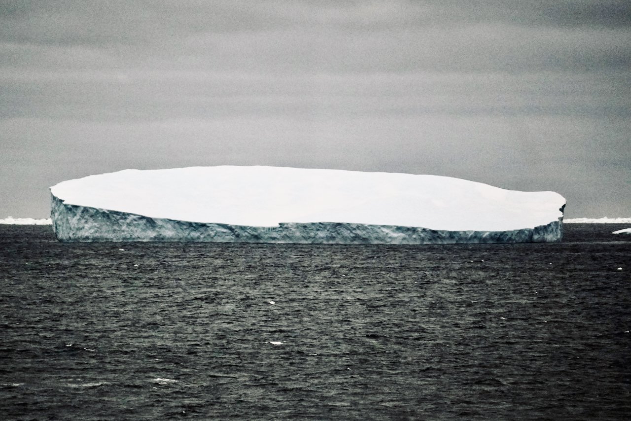Elephant Island Sea Ice Humpback + Fin Whales - 24.jpeg